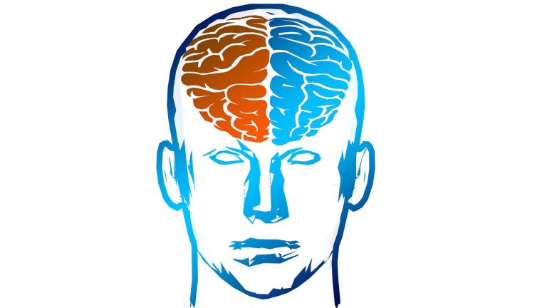 How to Train Left and Right Brain and Why This Is Important