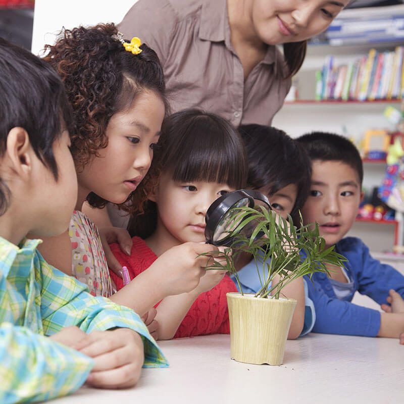 students-looking-at-plant-with-a-magnifying-glass-2024-10-13-19-47-04-utc